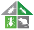 Wildlife Control Orlando